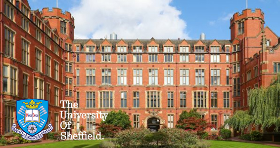The University of Sheffield 