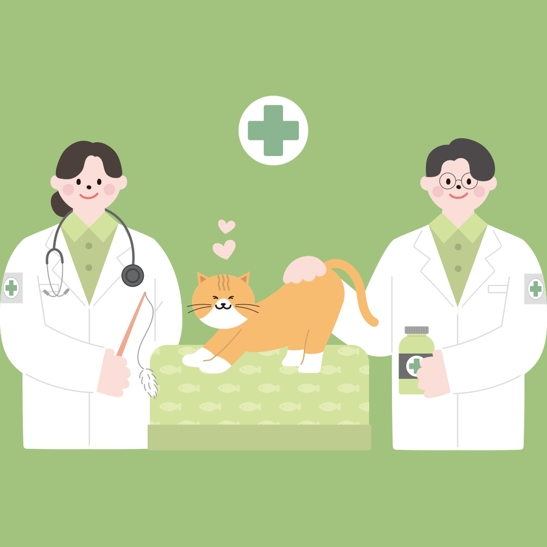 夢想醫好每隻貓貓狗狗？澳洲獸醫課程國際認可，回港執業零障礙！